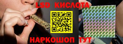 крисы Новодвинск
