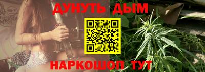 крисы Новодвинск