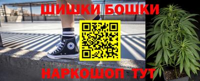 крисы Новодвинск