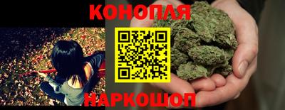 крисы Новодвинск