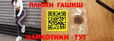 крисы Новодвинск