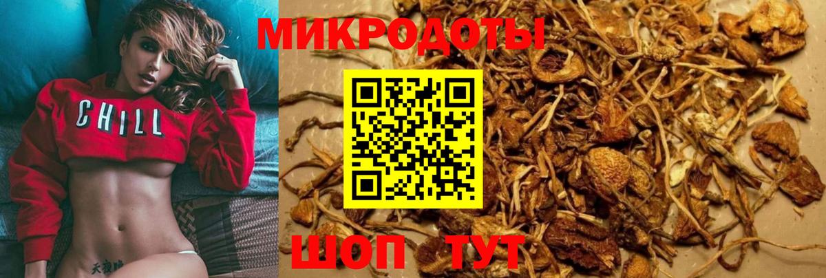 Галлюциногенные грибы MAGIC MUSHROOMS  Галлюциногенные грибы Magic Shrooms  Вход с VPN  Самара 